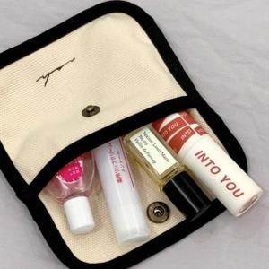 Small Portable Canvas Card Case Women Thin Organizer Coin Bag Niche Bank Card ID Earphone Bag